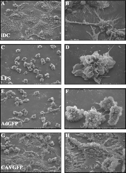 FIG. 5.