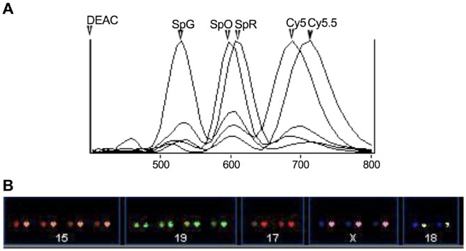 Figure 2.