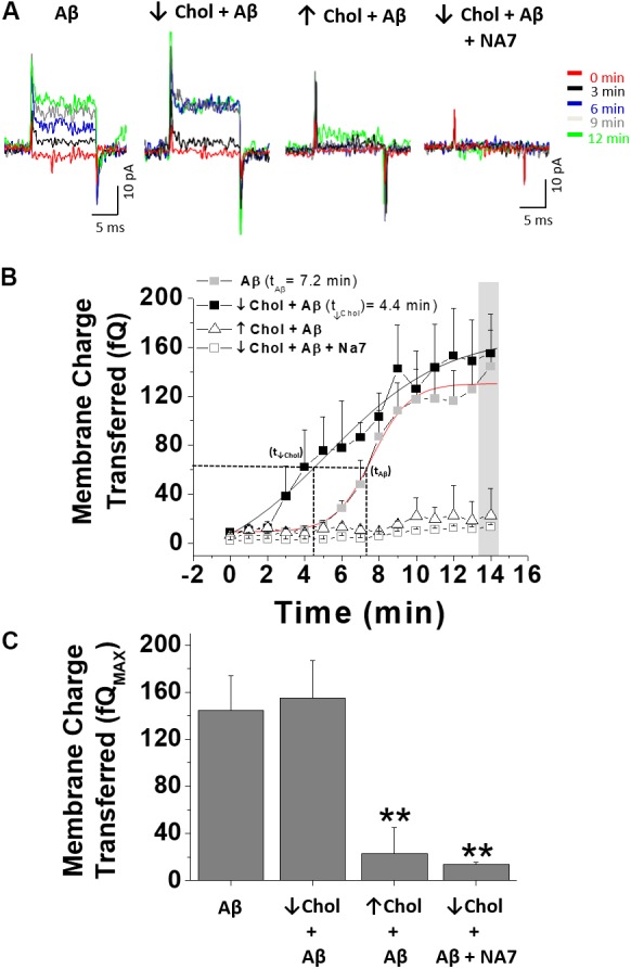 FIGURE 4