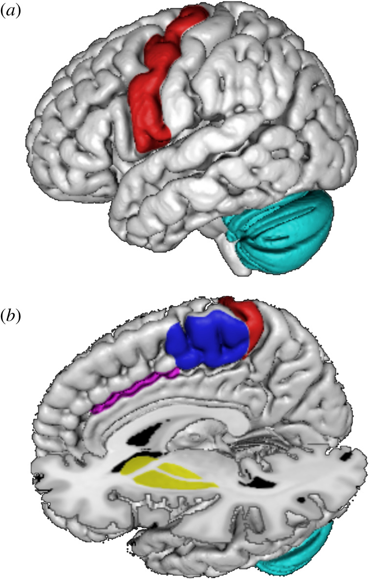 Figure 2. 