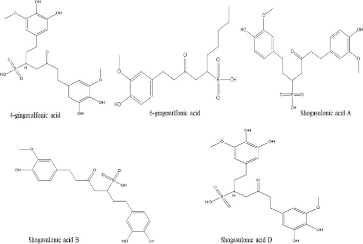 FIGURE 3