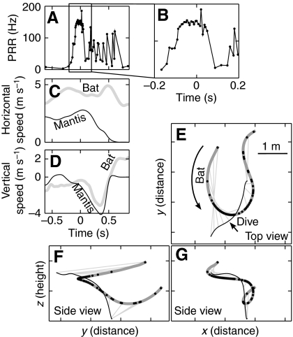 Fig. 10.