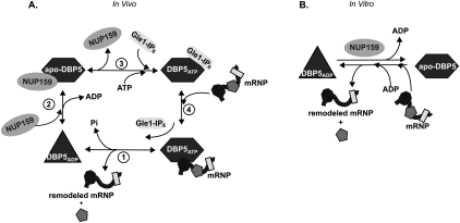 Figure 6.