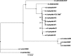 FIG 1