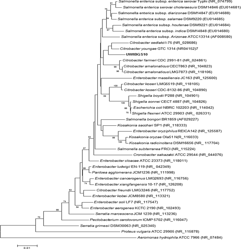 Fig. 1