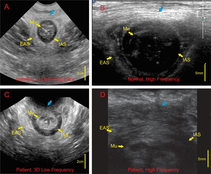 Figure 2: