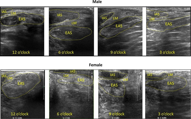 Figure 4: