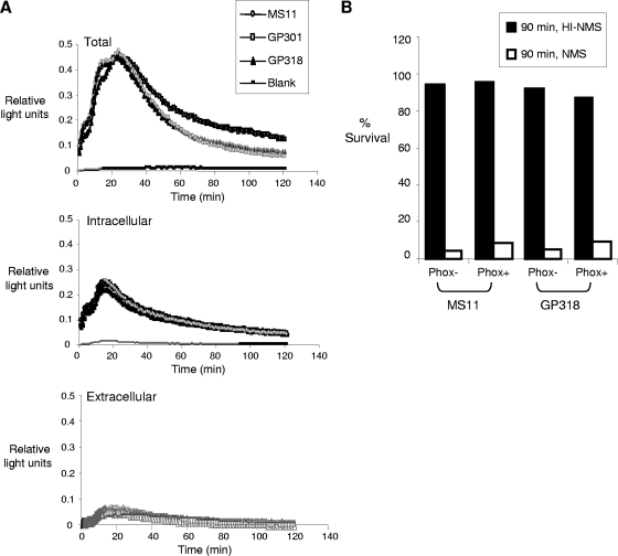 FIG. 6.