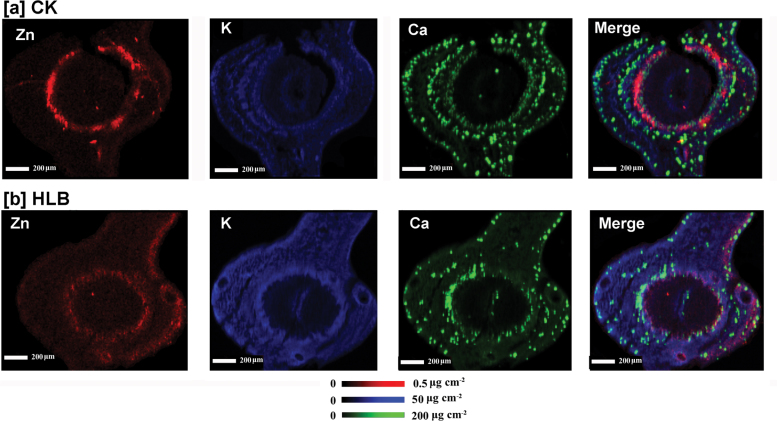 Fig. 9.