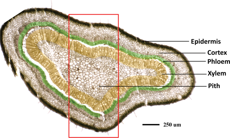 Fig. 7.