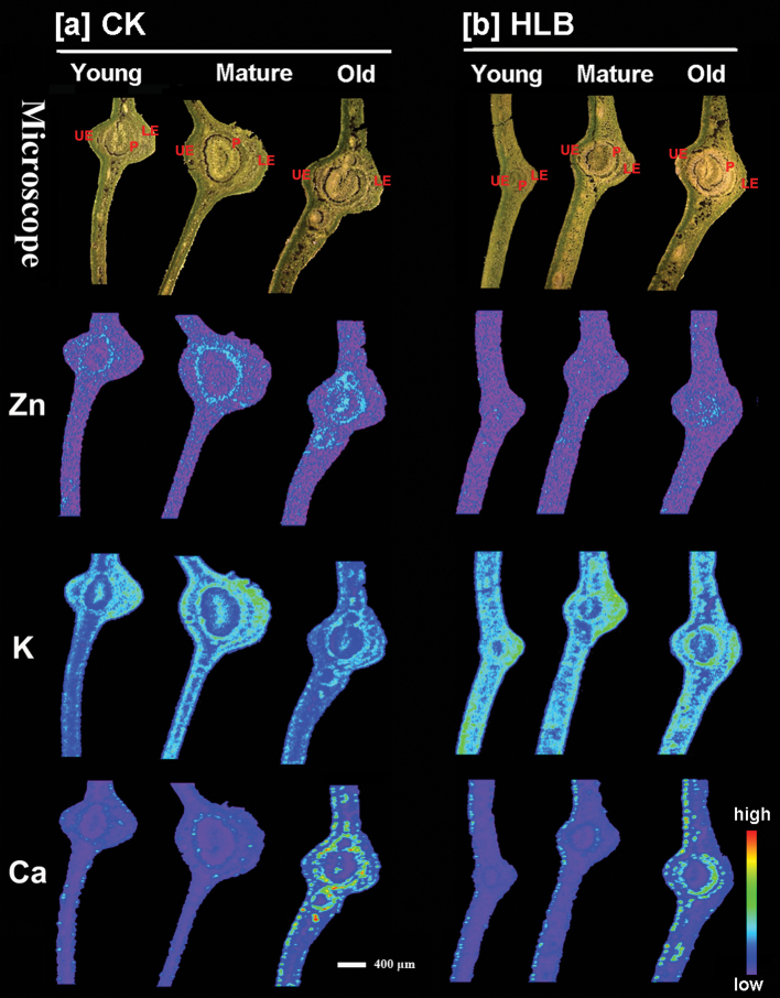 Fig. 3.