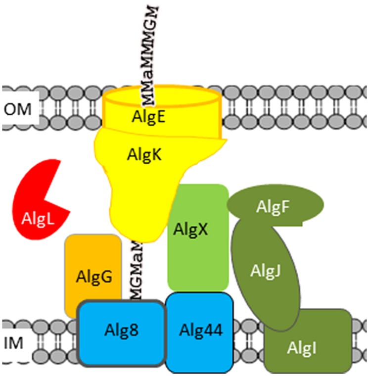 FIGURE 2