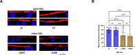 Figure 6: