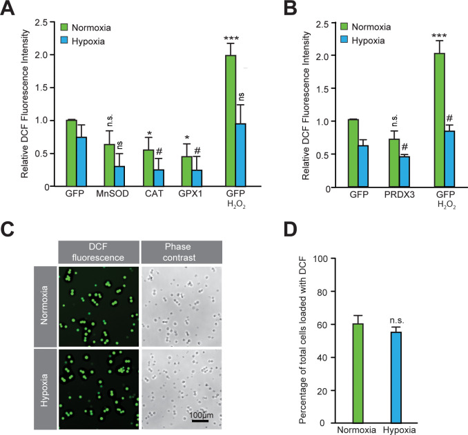 Figure 3—figure supplement 3.