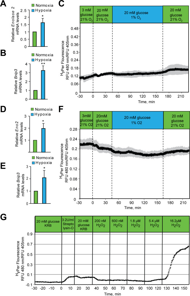 Figure 2—figure supplement 2.