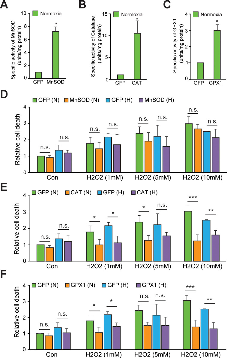 Figure 3—figure supplement 2.