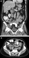 Fig. 4