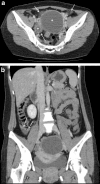 Fig. 3