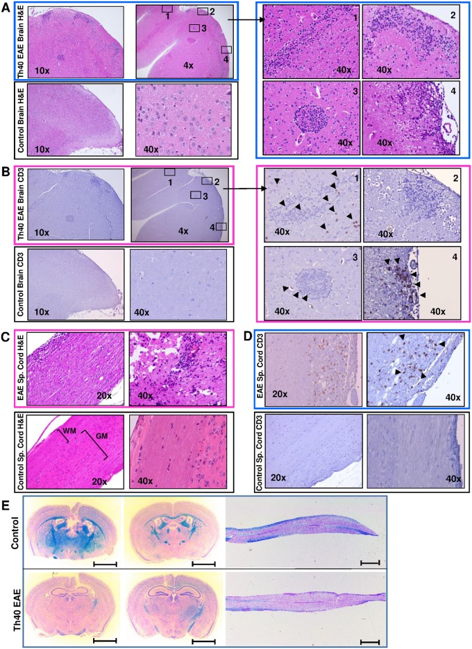 Fig 8