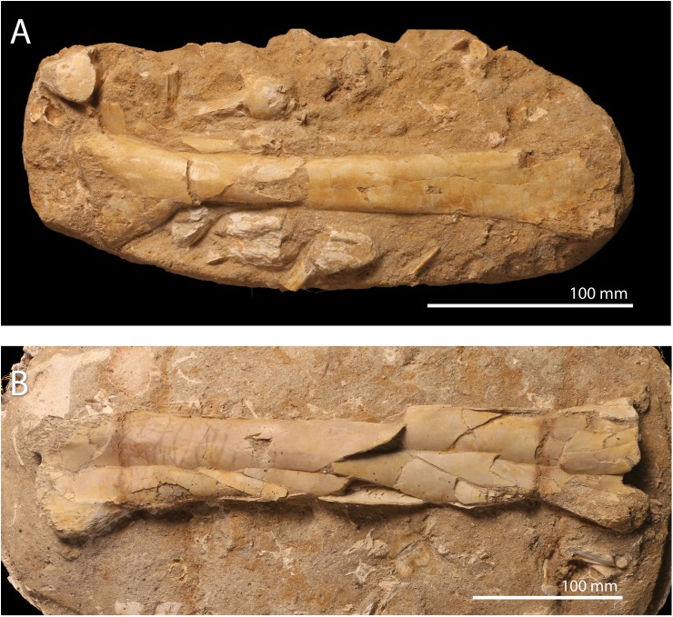 Fig 4