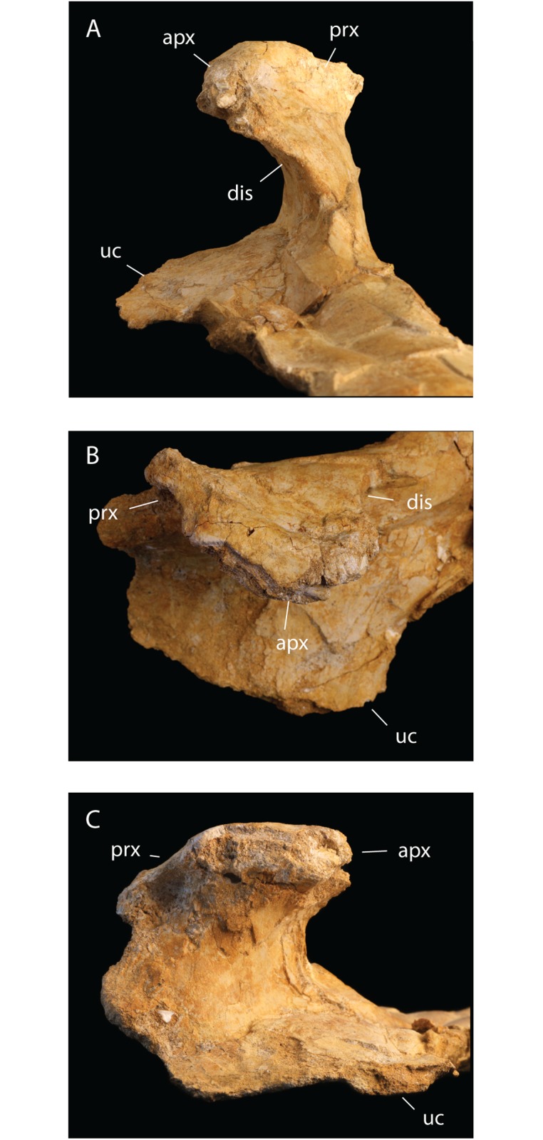 Fig 3