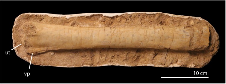 Fig 15