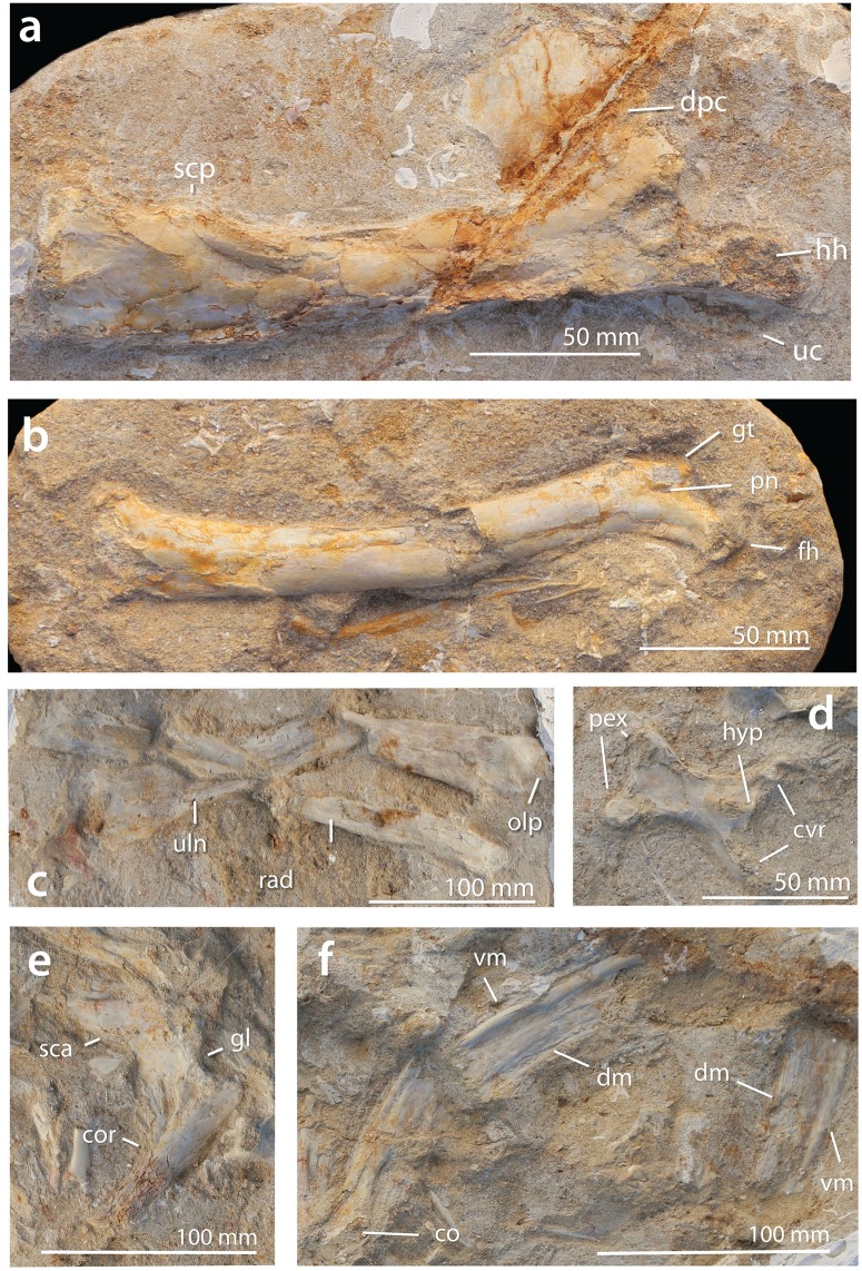 Fig 11