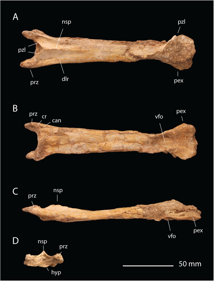 Fig 14