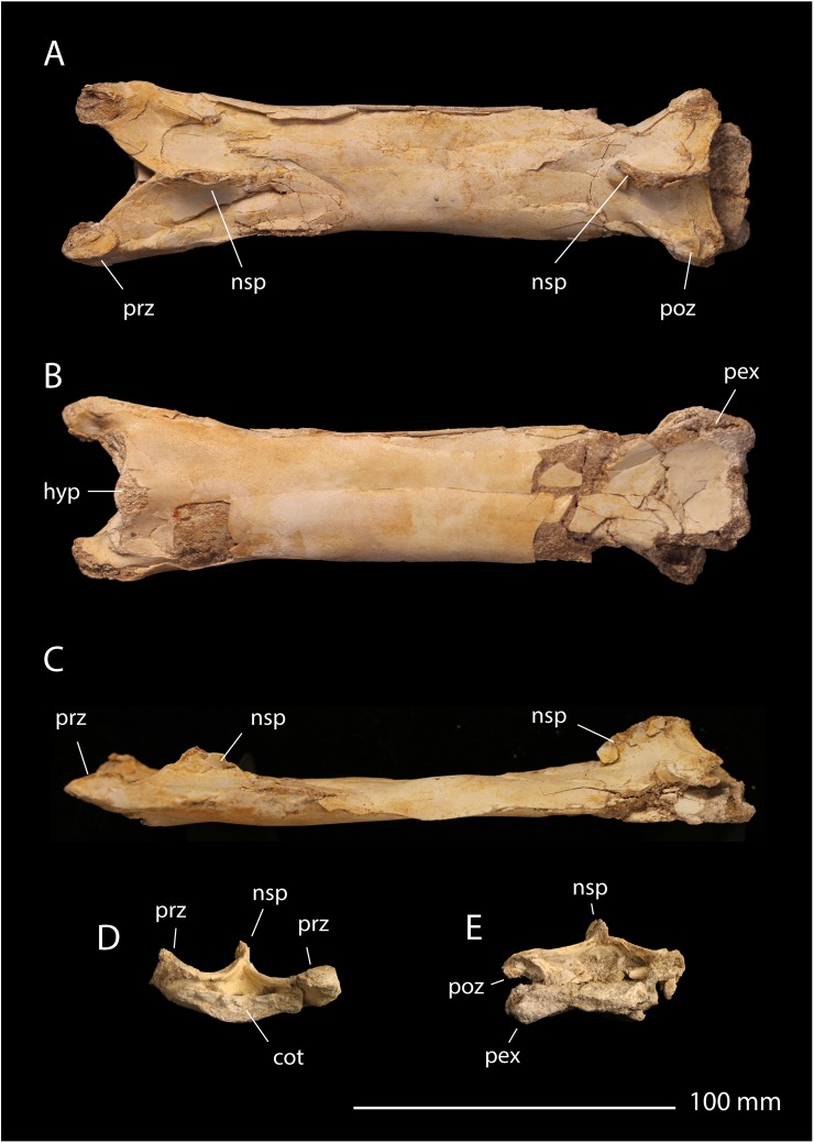 Fig 13