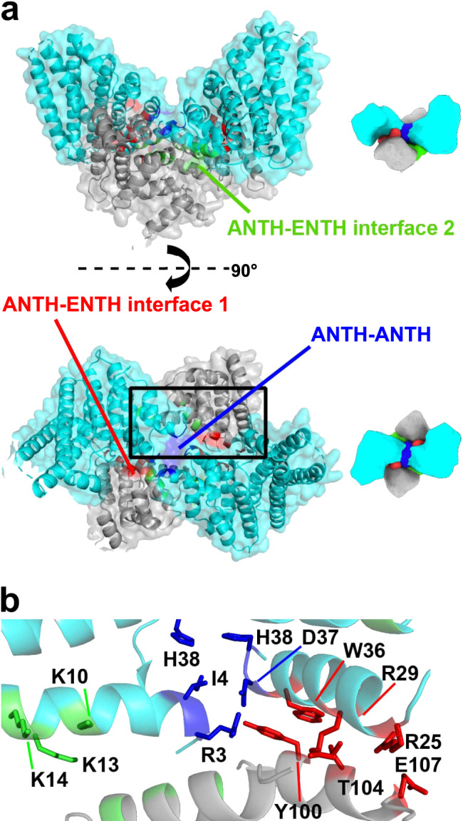 Fig. 3