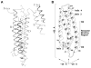 Fig. 7.2