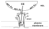 Fig. 7.10