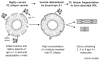 Fig. 7.9