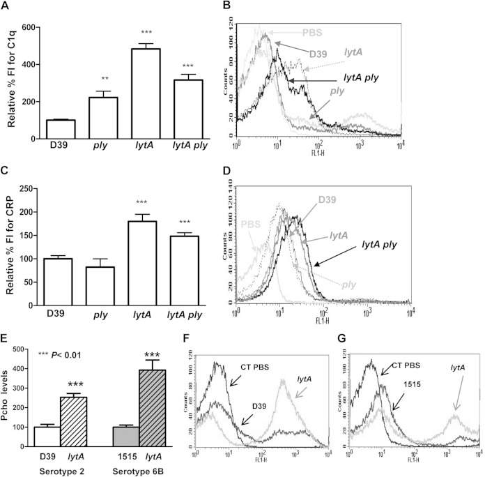 FIG 2