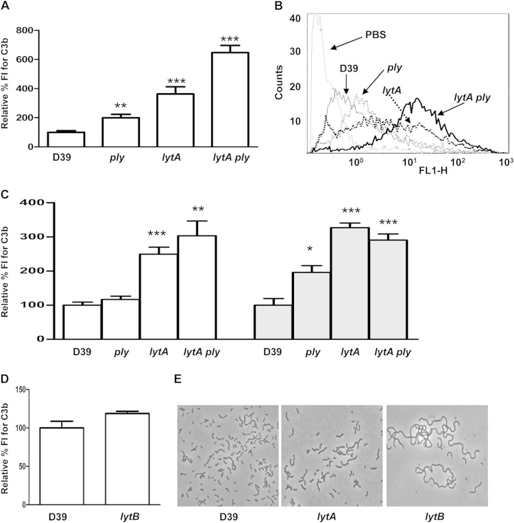 FIG 1