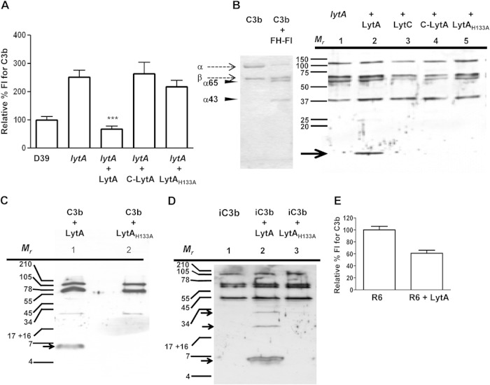 FIG 6