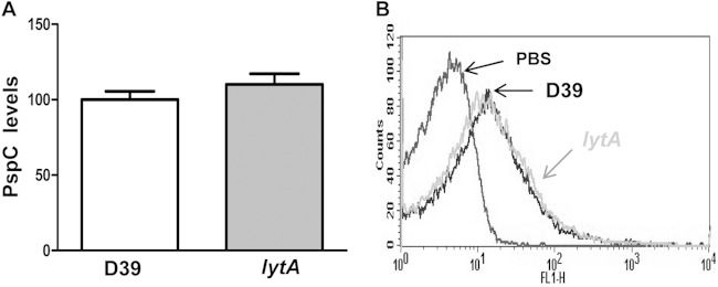 FIG 5