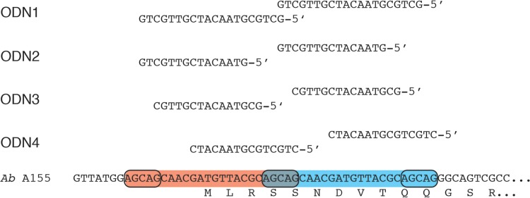 FIG 2