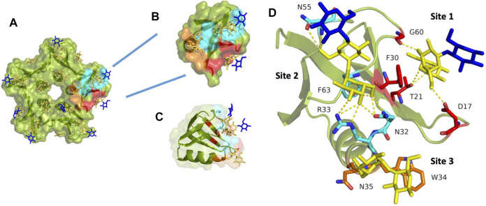 FIGURE 3