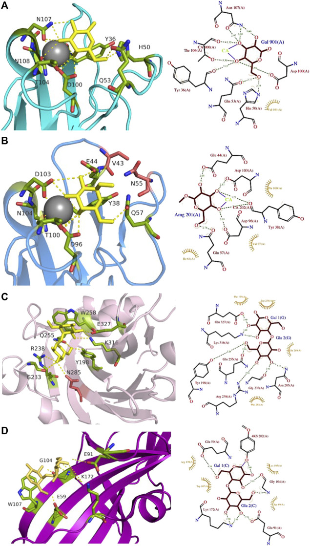 FIGURE 4