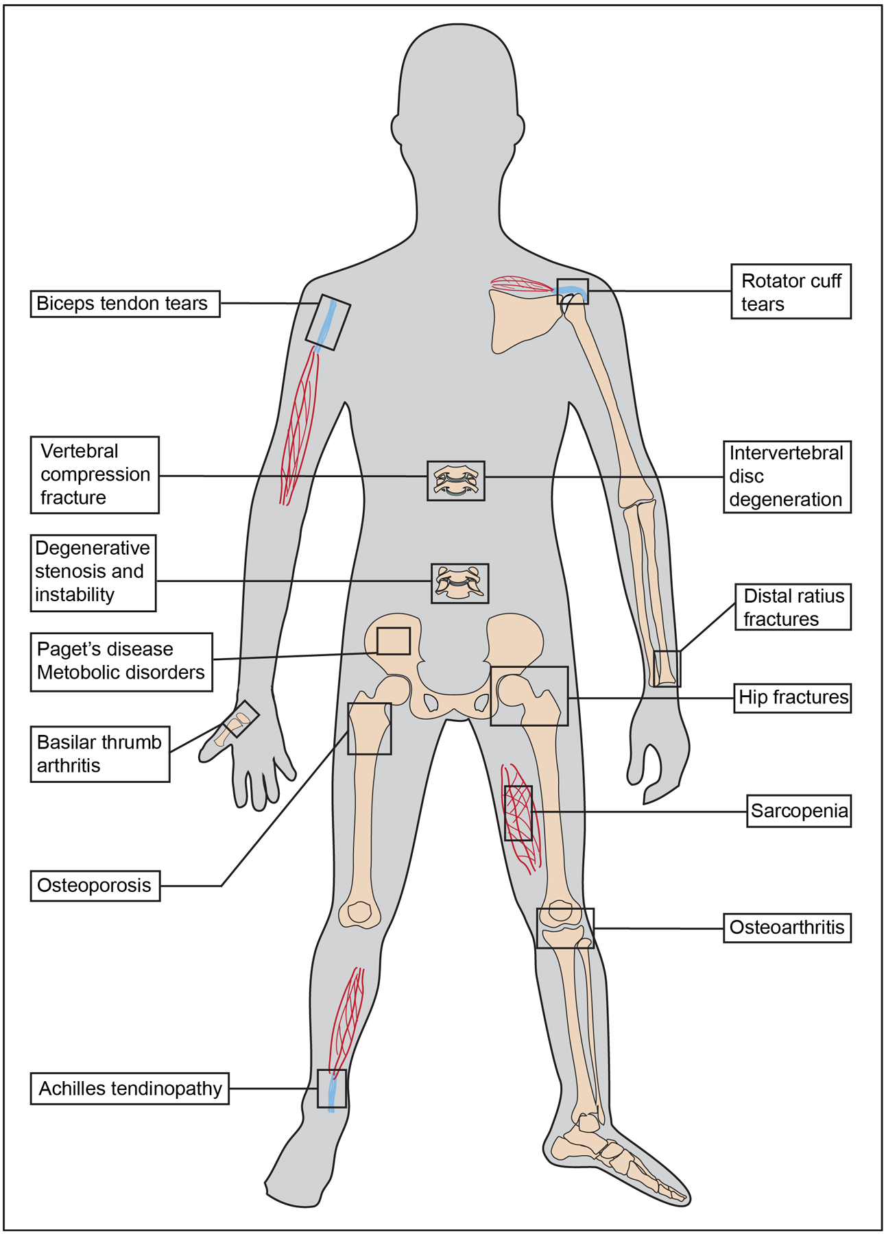 Figure 1: