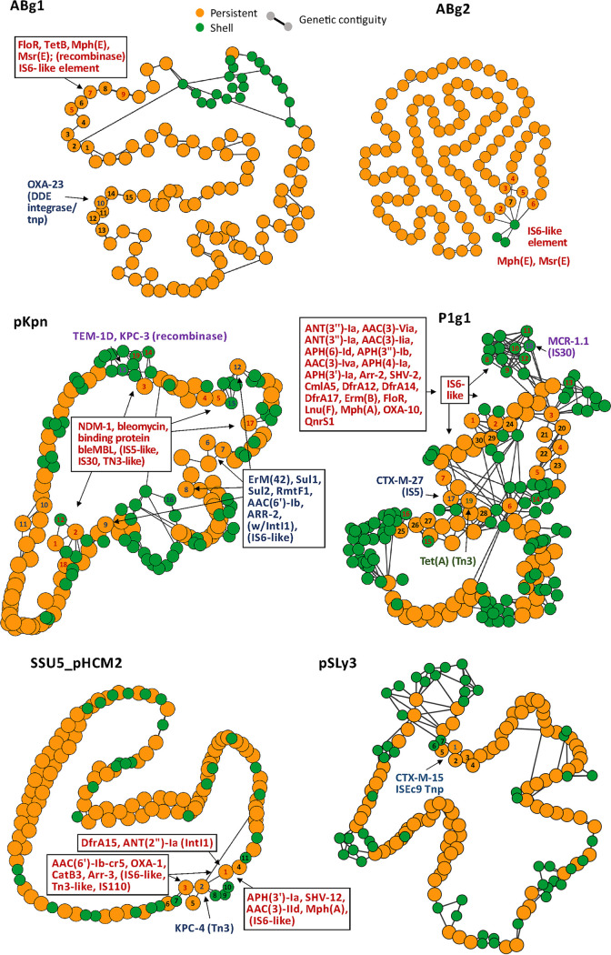 FIG 2