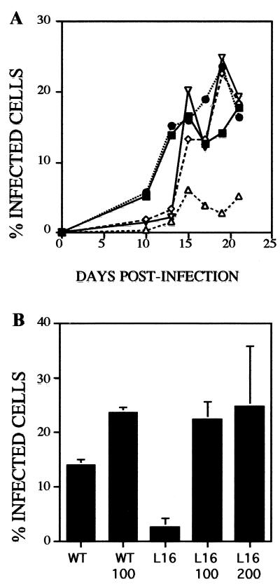 FIG. 6