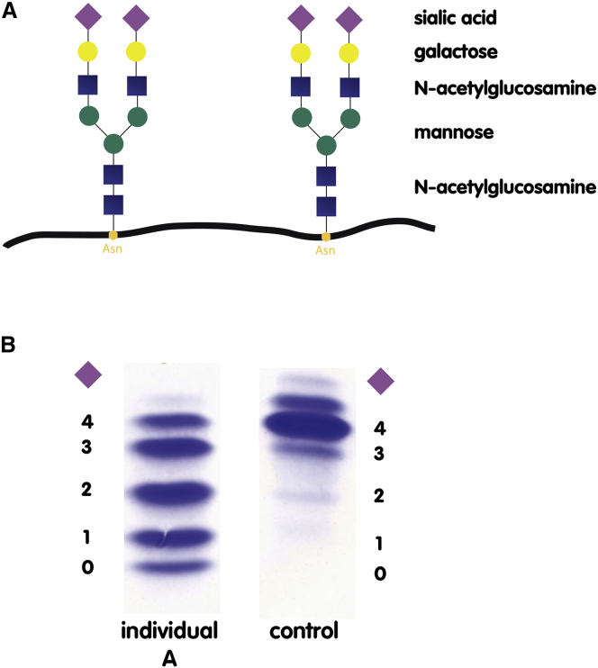 Figure 2