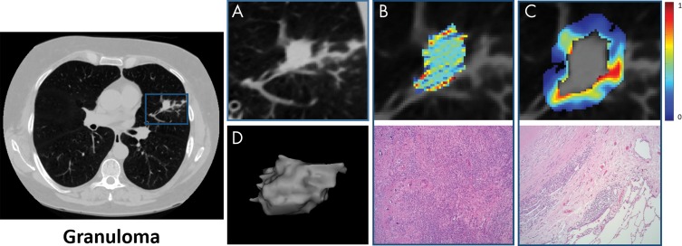 Figure 5: