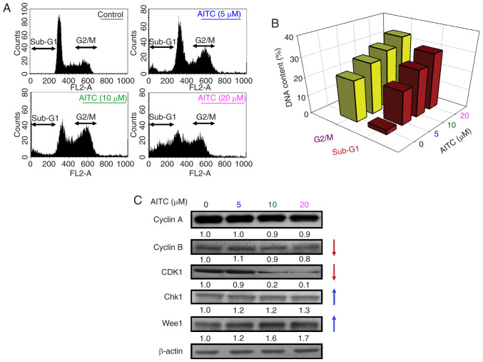 Figure 2.