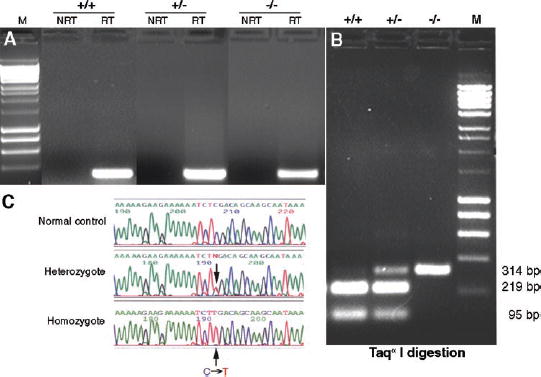 FIGURE 1