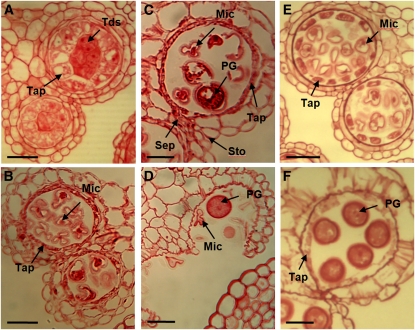 Figure 10.