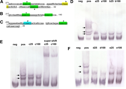 Figure 5.