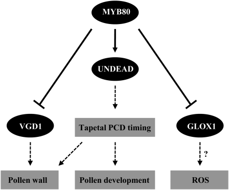 Figure 13.